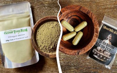 Extract vs. Powder: Choosing the Kratom Format That Fits Your Flow