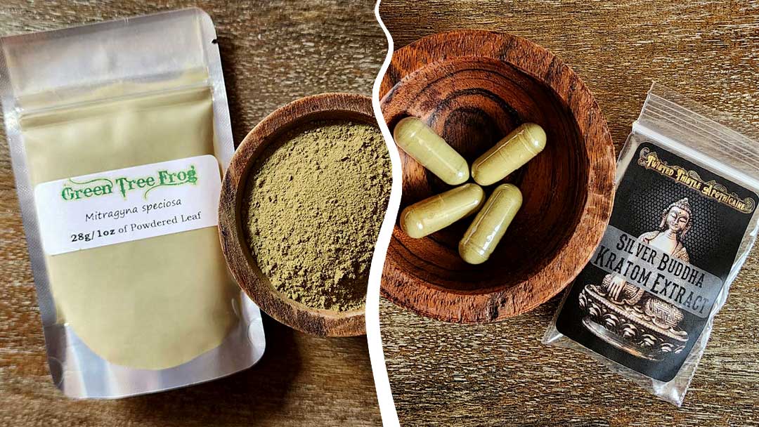 Green Tree Frog Kratom beside Silver Buddha Kratom Extract
